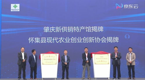 县域商业图谱再落一子 肇庆怀集借力京东技术推广破局升级之路